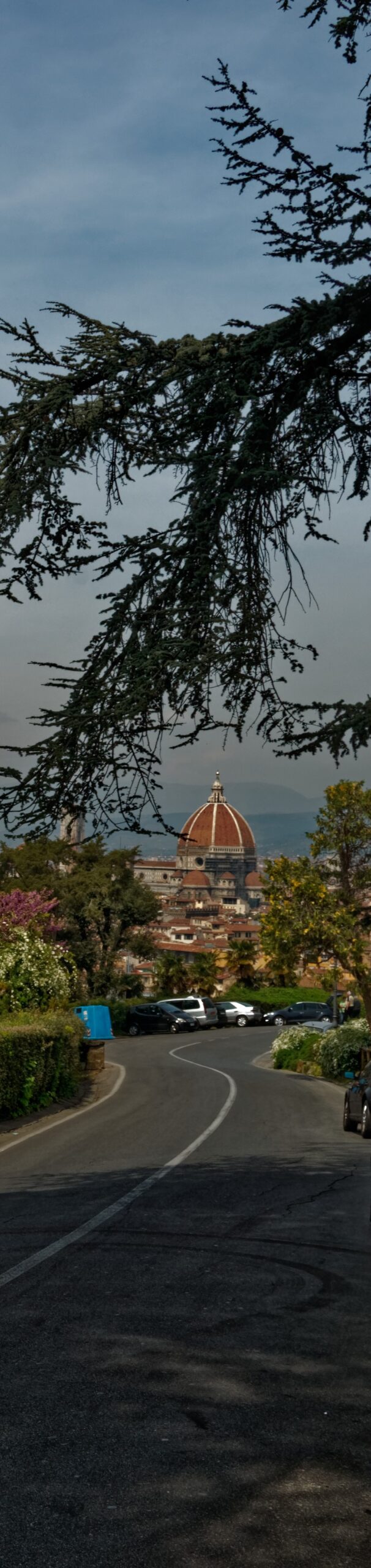 Florence1